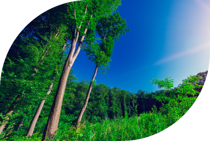 Blog 3